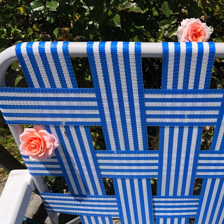 Chair and Roses