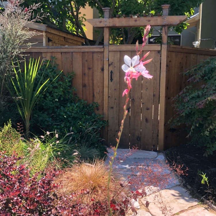 flower and Gate