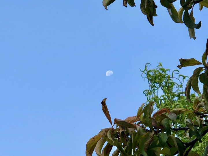Ble sky and Moon