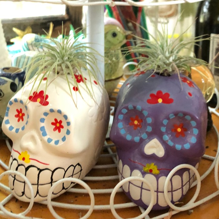 Sugar skulls 