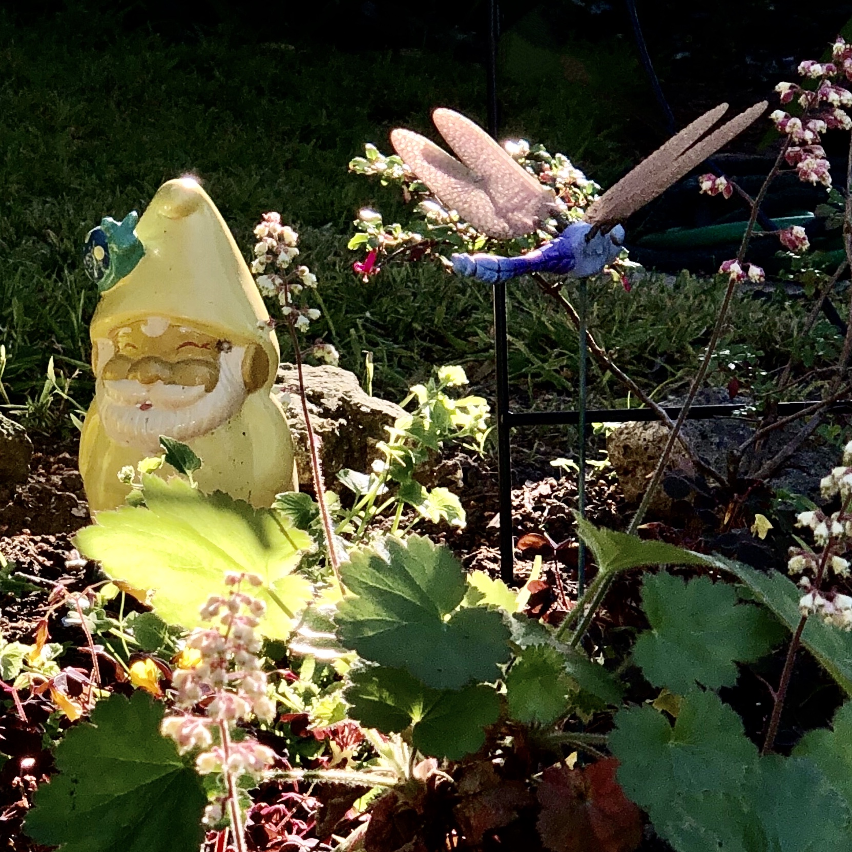 Gnome for square challenge 