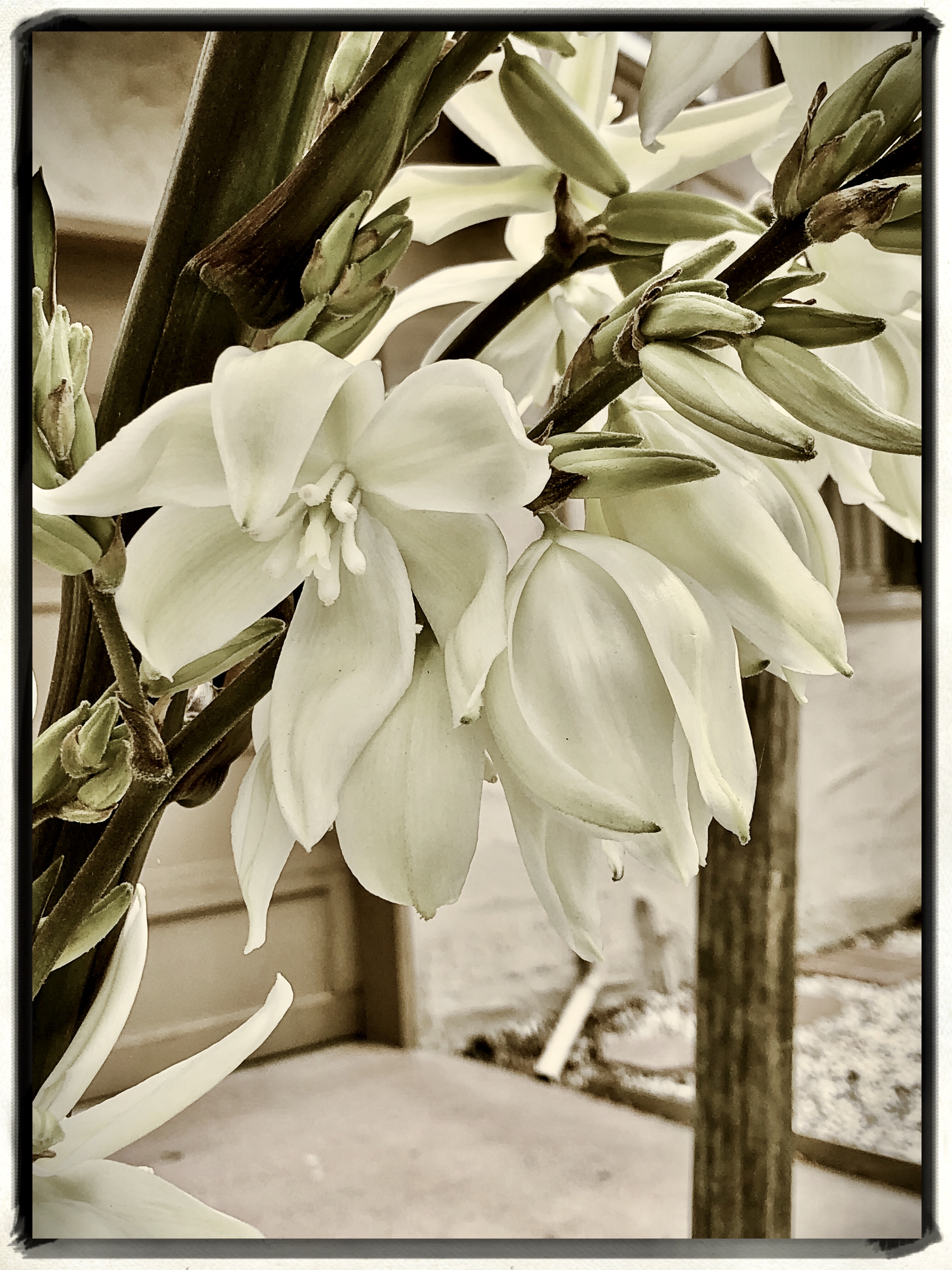 71BAA4F5-B6F8-4ACF-B755-00DF0DD9331A