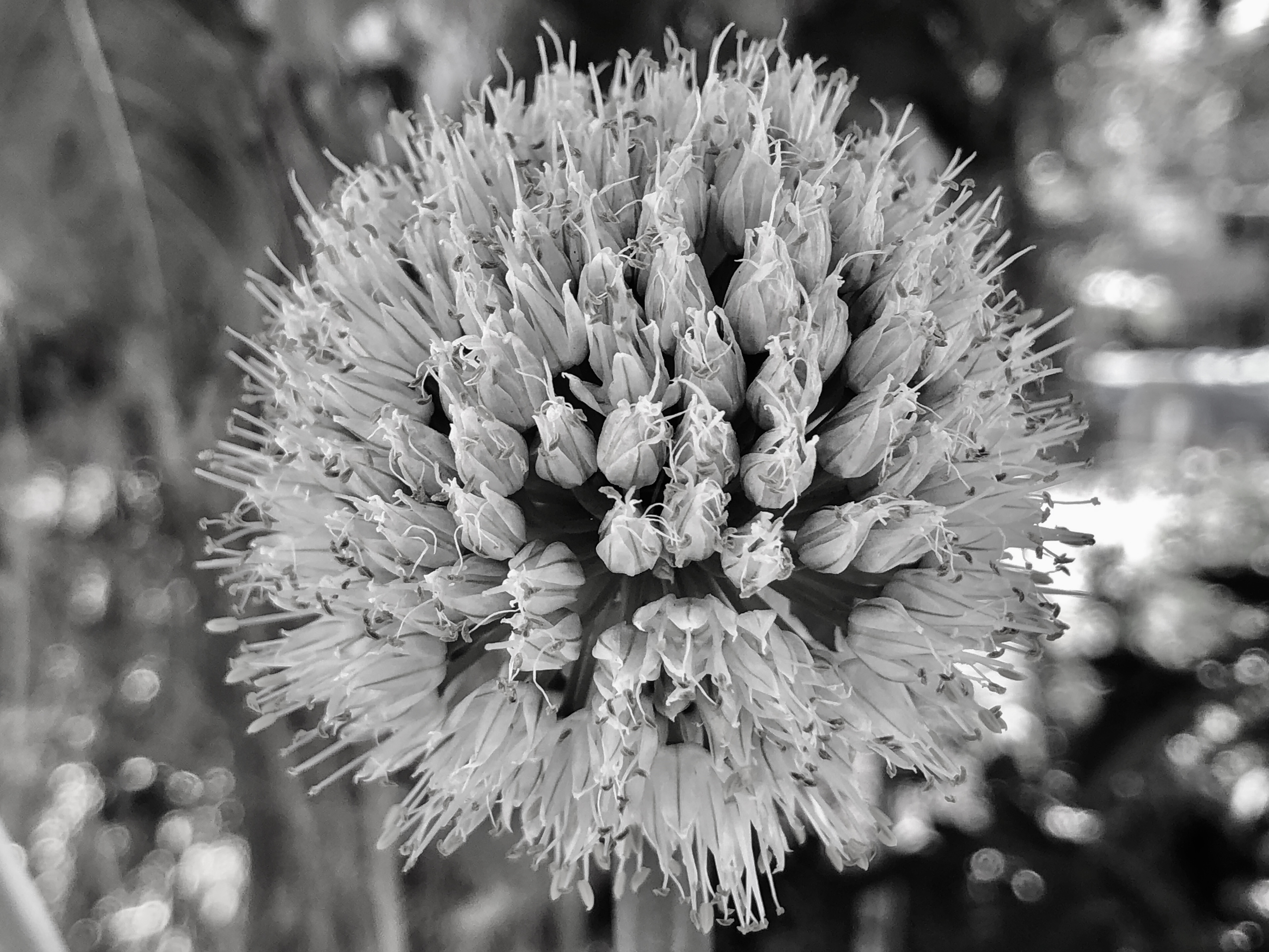 84329291-829E-4269-BF3B-80273FB5124E