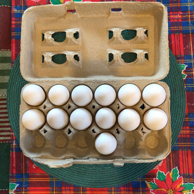 eggs
