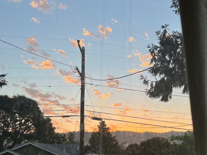 Fro the living window